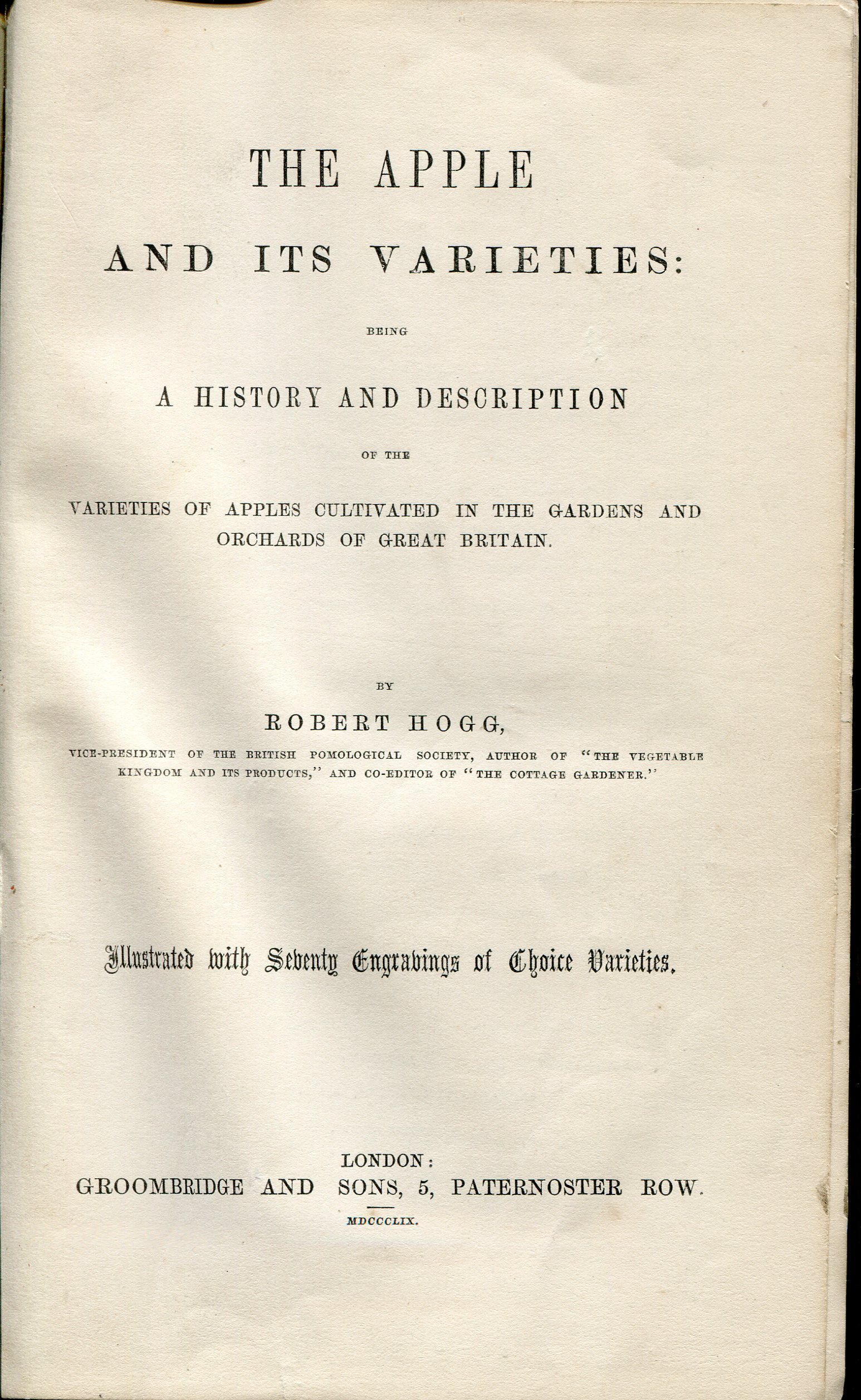 Image for The Apple and Its Varieties : Being a History and Description of the Varieties of Apples Cultivated in the Gardens and Orchards of Great Britain