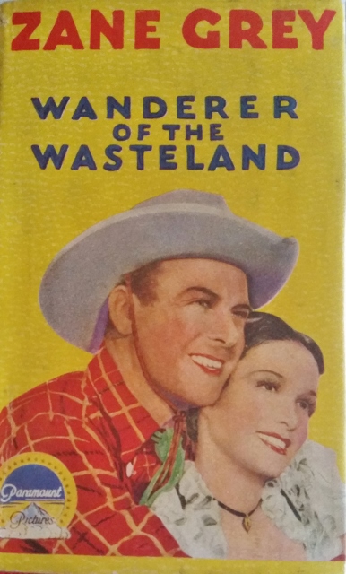 Image for Wanderer of the Wasteland
