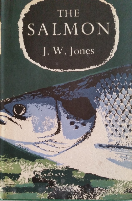 Image for The Salmon