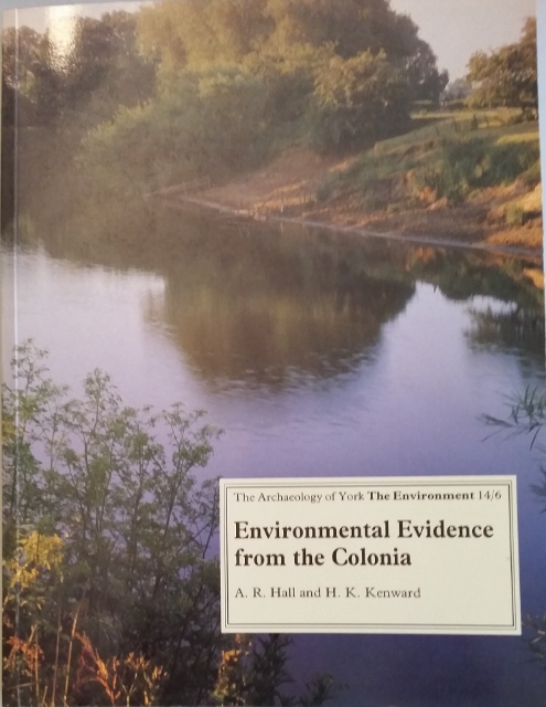Image for Environmental Evidence from the Colonia: General Accident and Rougier street