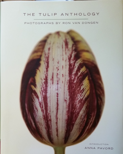 Image for The Tulip Anthology