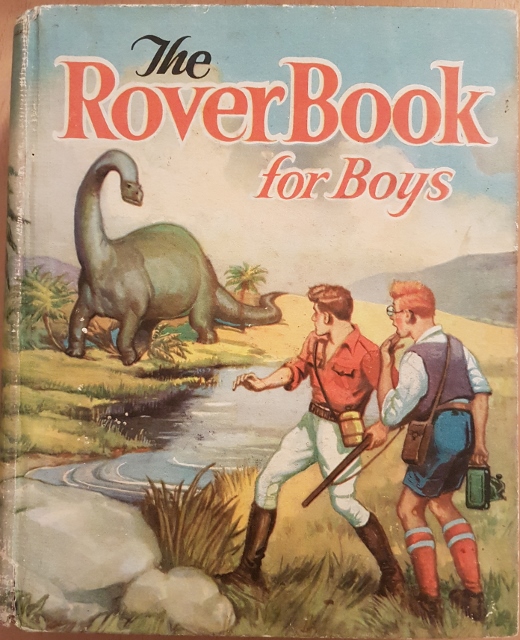 Image for Rover Book for Boys