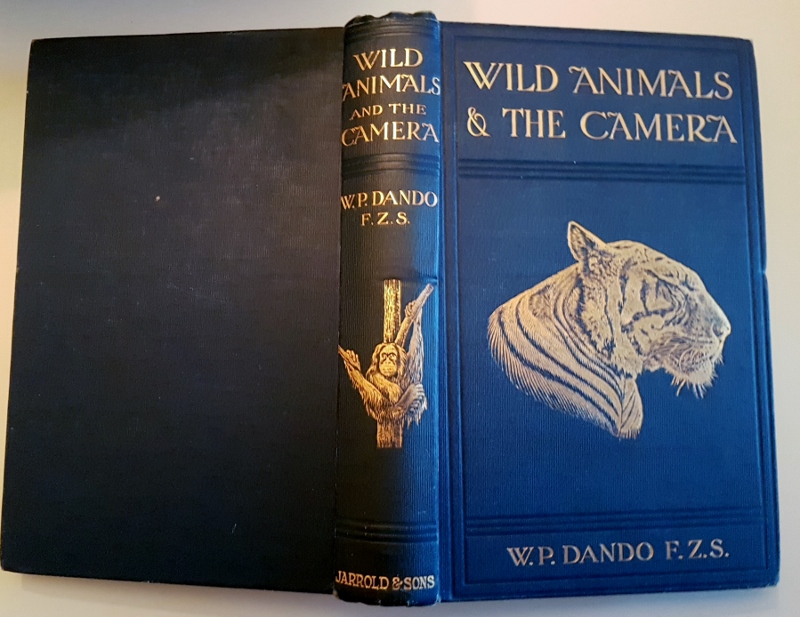 Image for Wild Animals & the Camera