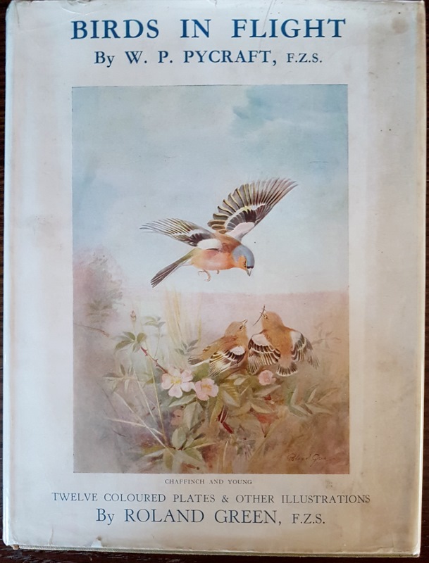 Image for Birds in Flight