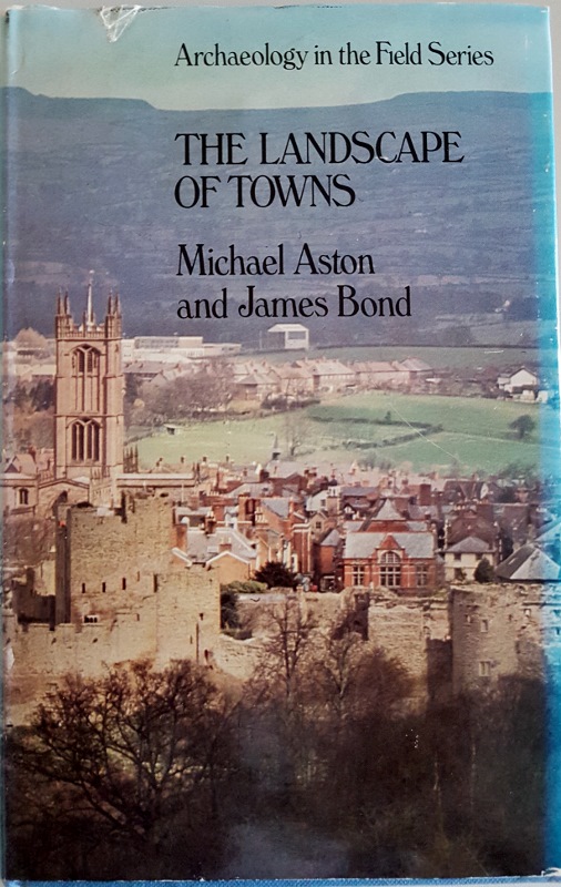 Image for The Landscape of Towns