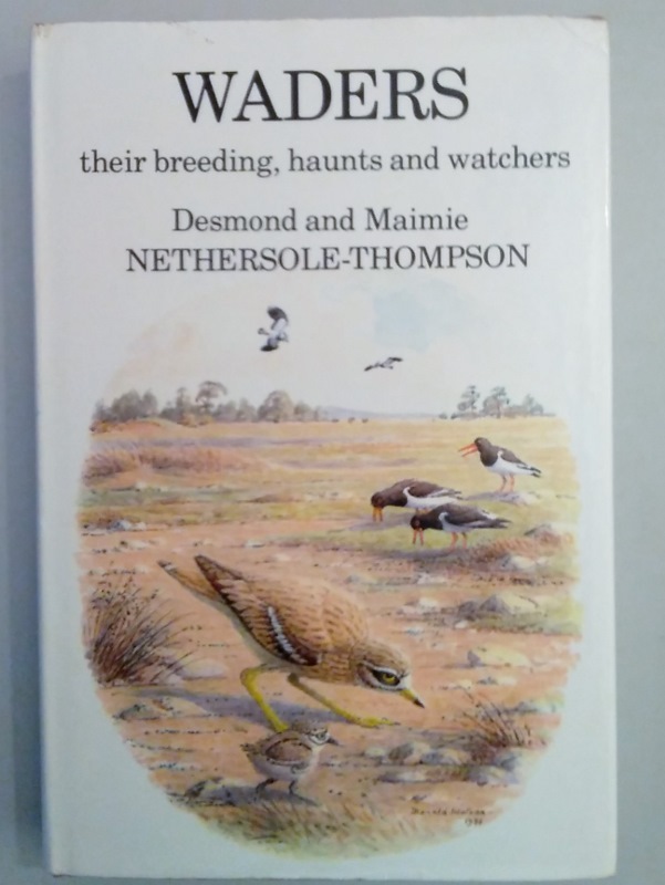 Image for Waders. Their Breeding, Haunts and Watchers
