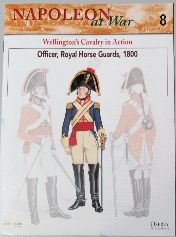 Image for Napoleon at War 8: Wellington's Cavalry in Action