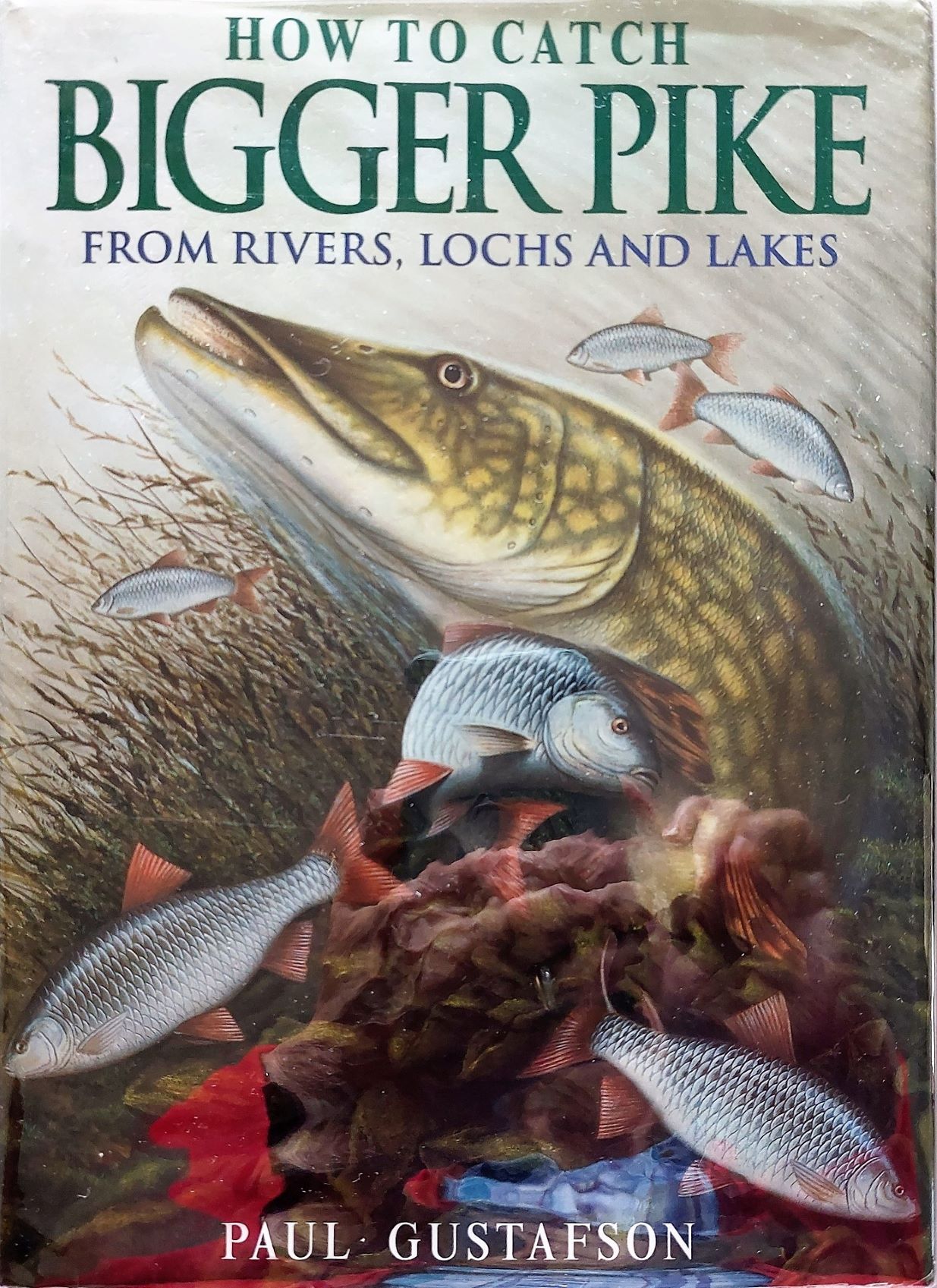Image for How to Catch Bigger Pike from Rivers, Lochs and Lakes