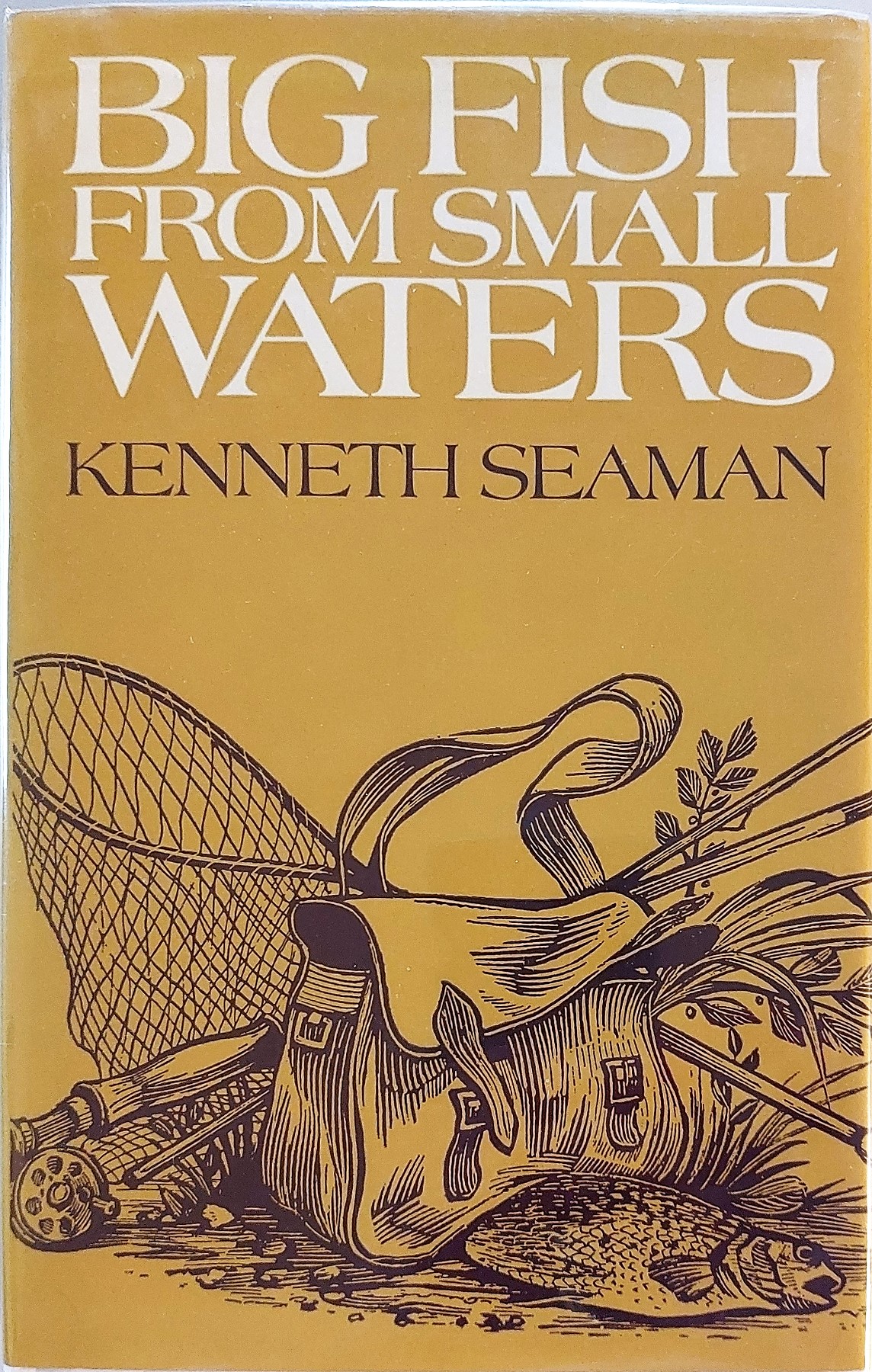 Image for Big Fish from Small Waters