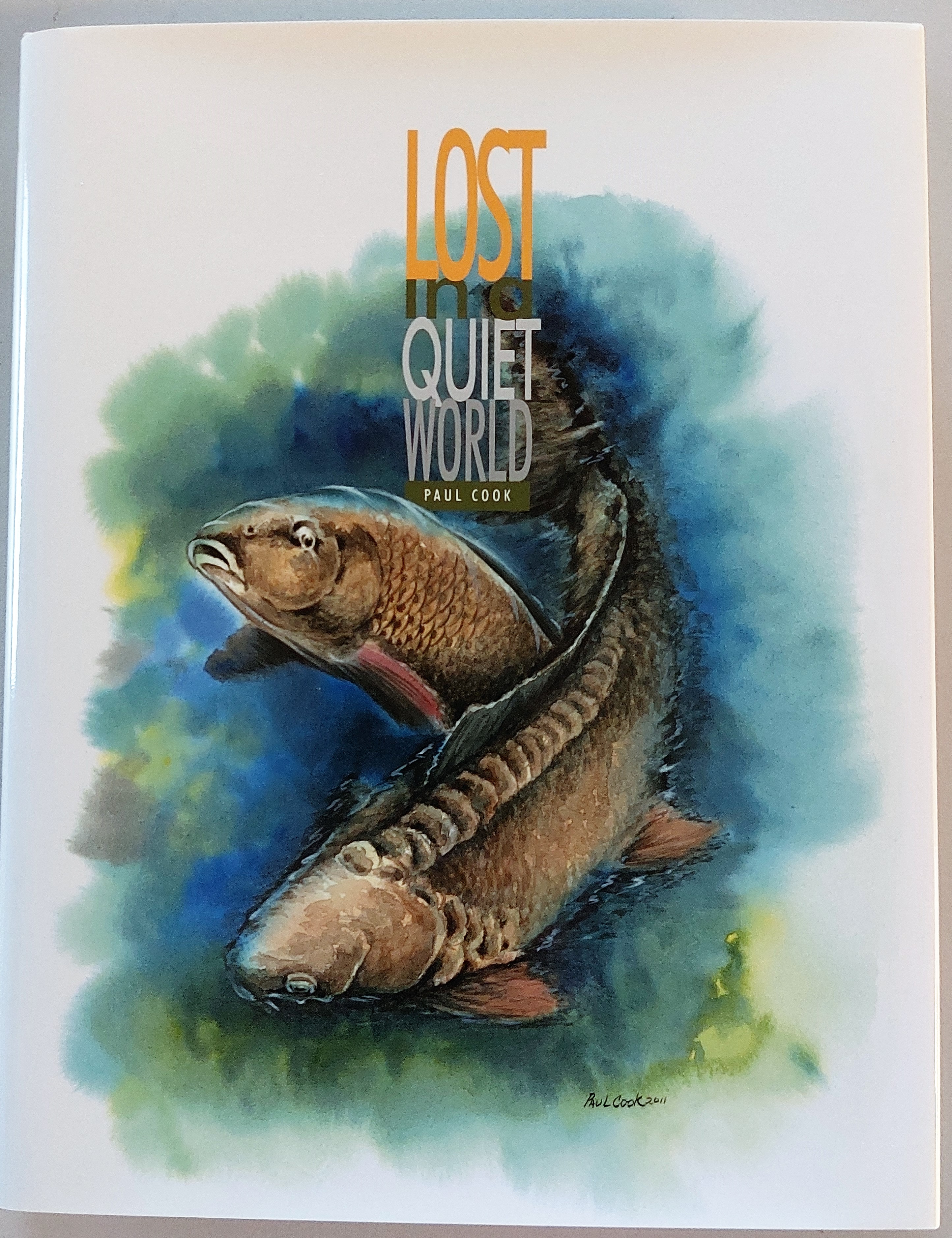 Image for Lost in a Quiet World